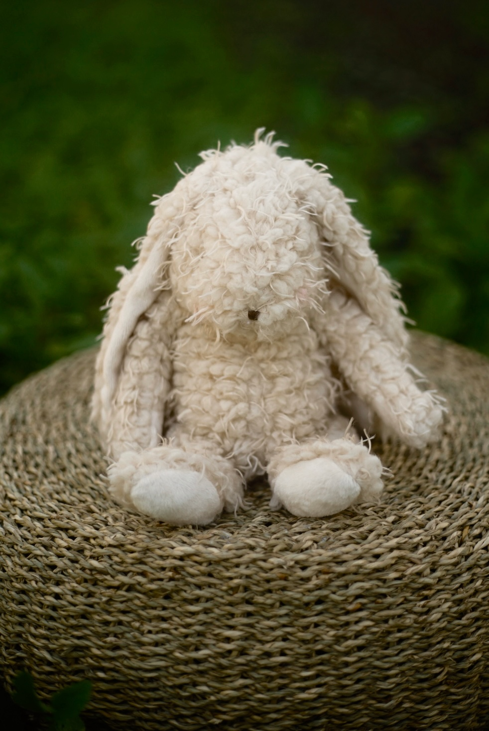 Bunny Au Naturel