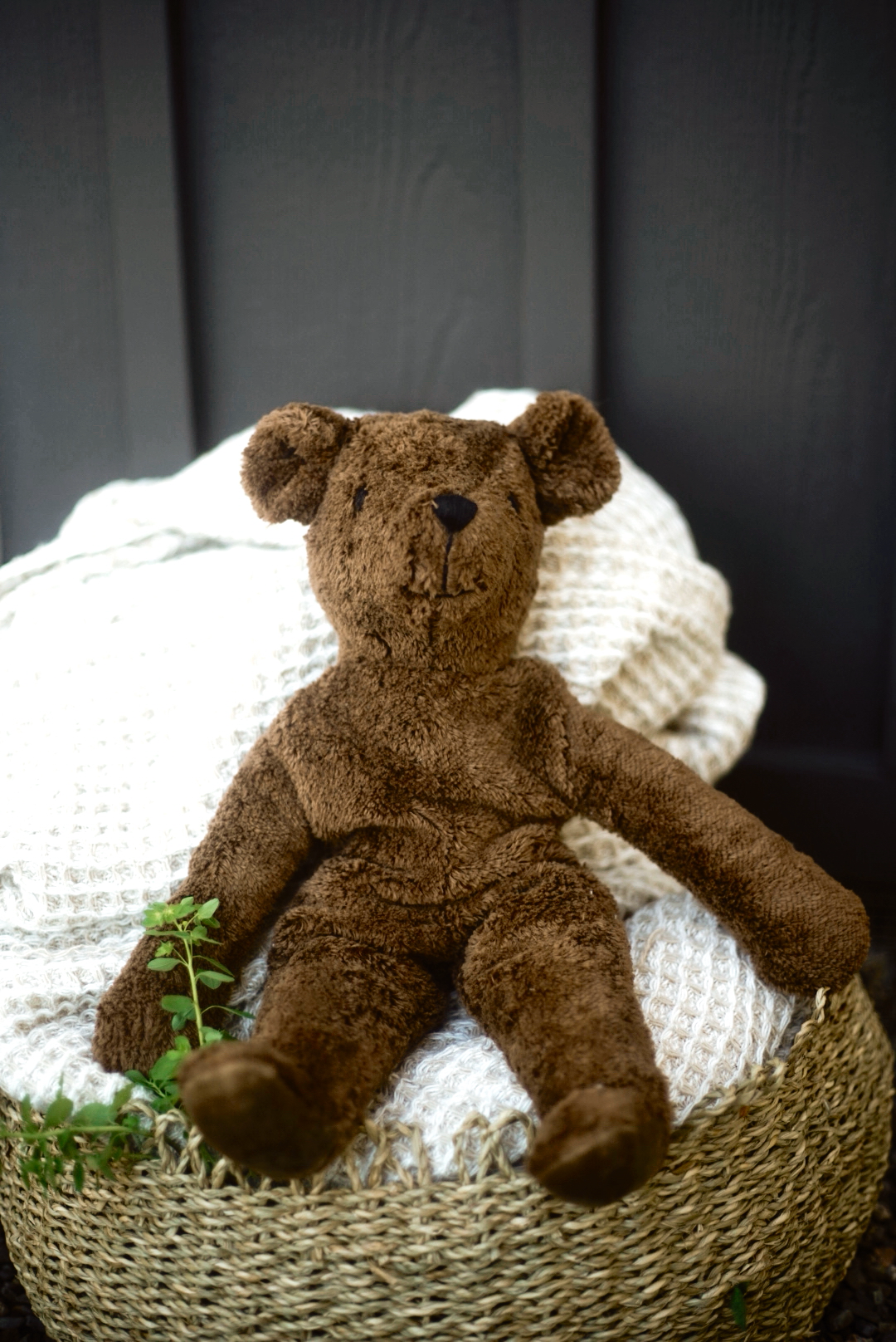 Bear Cub Chocolat