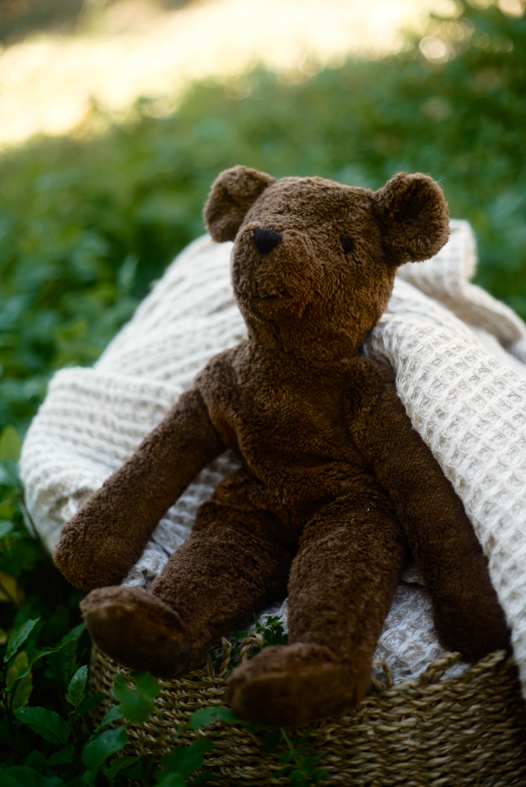 Bear Cub Chocolat