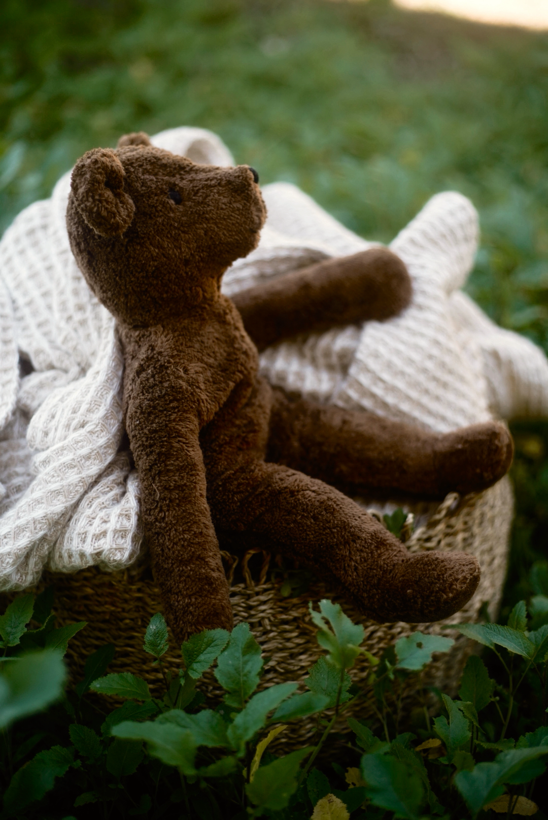 Bear Cub Chocolat