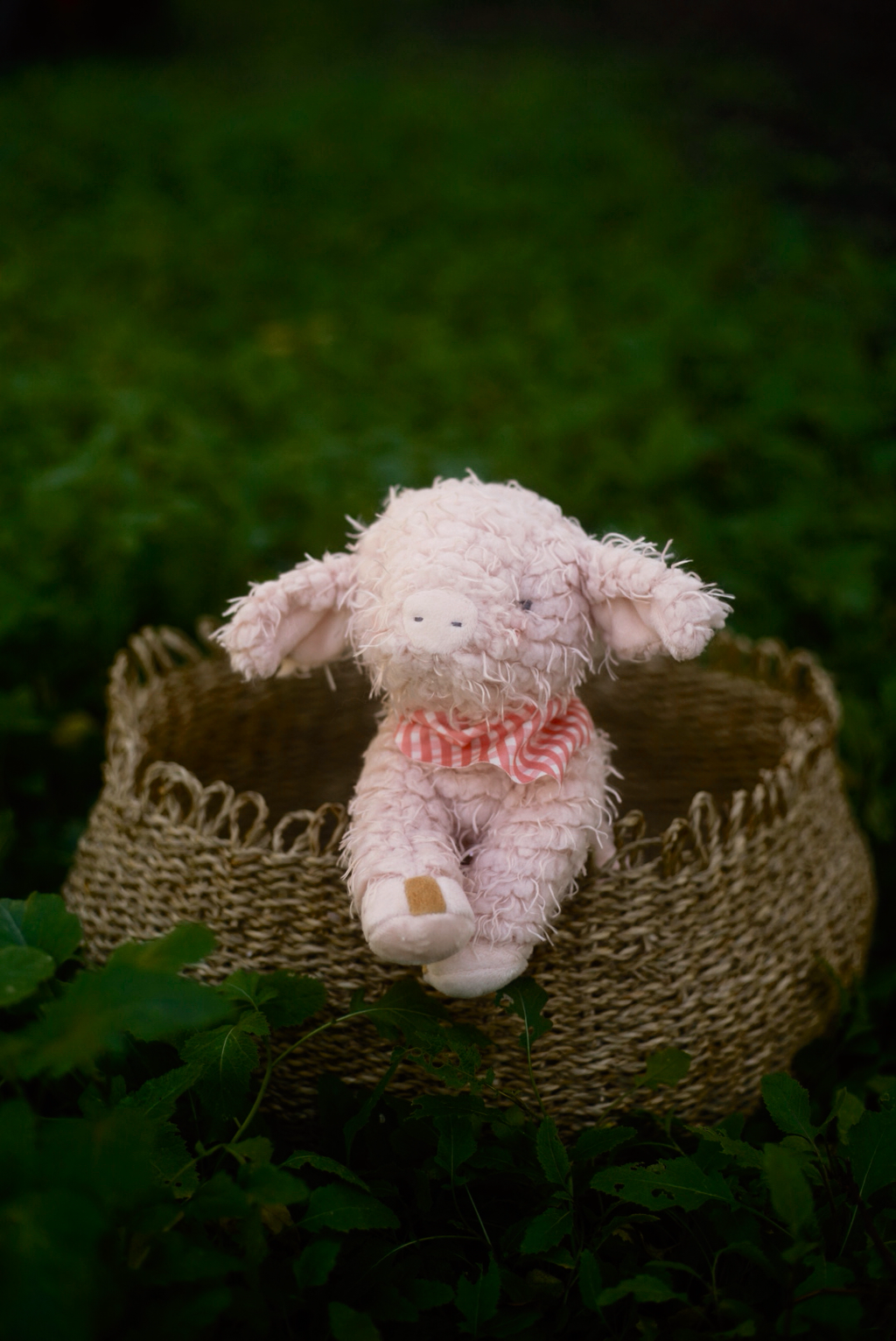 Piglet Rosé