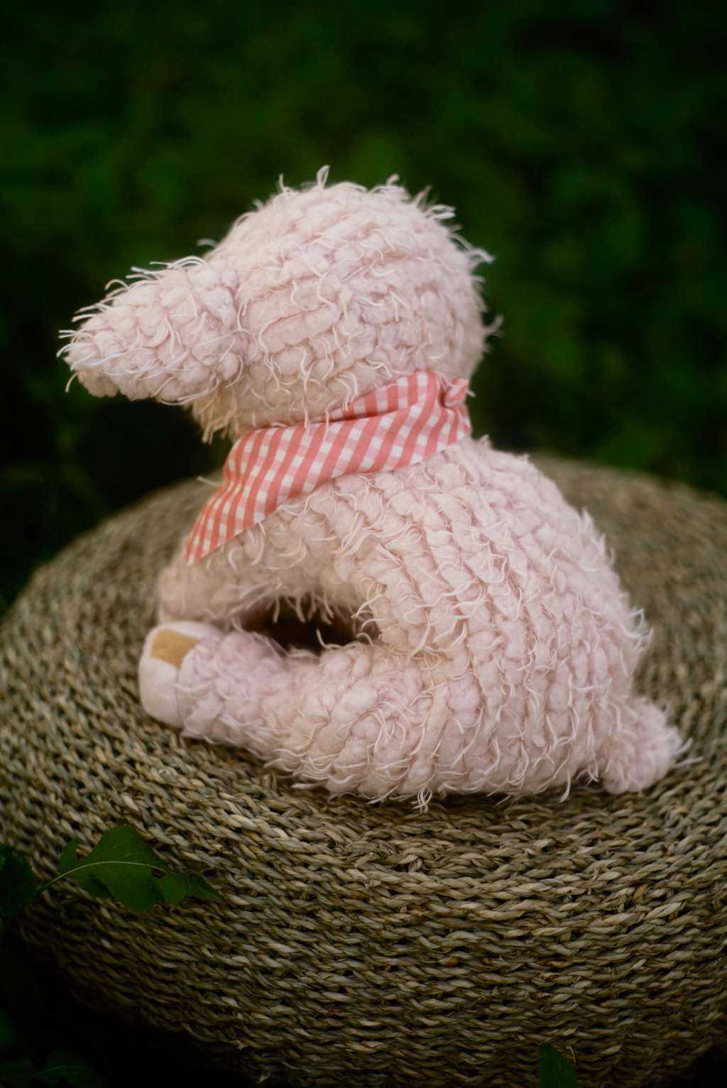 Piglet Rosé