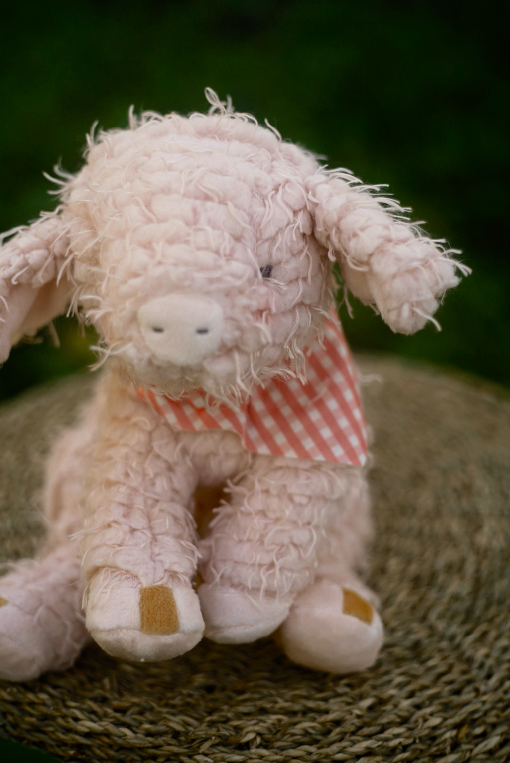 Piglet Rosé
