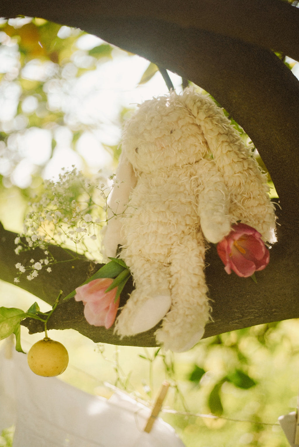 Bunny Au Naturel
