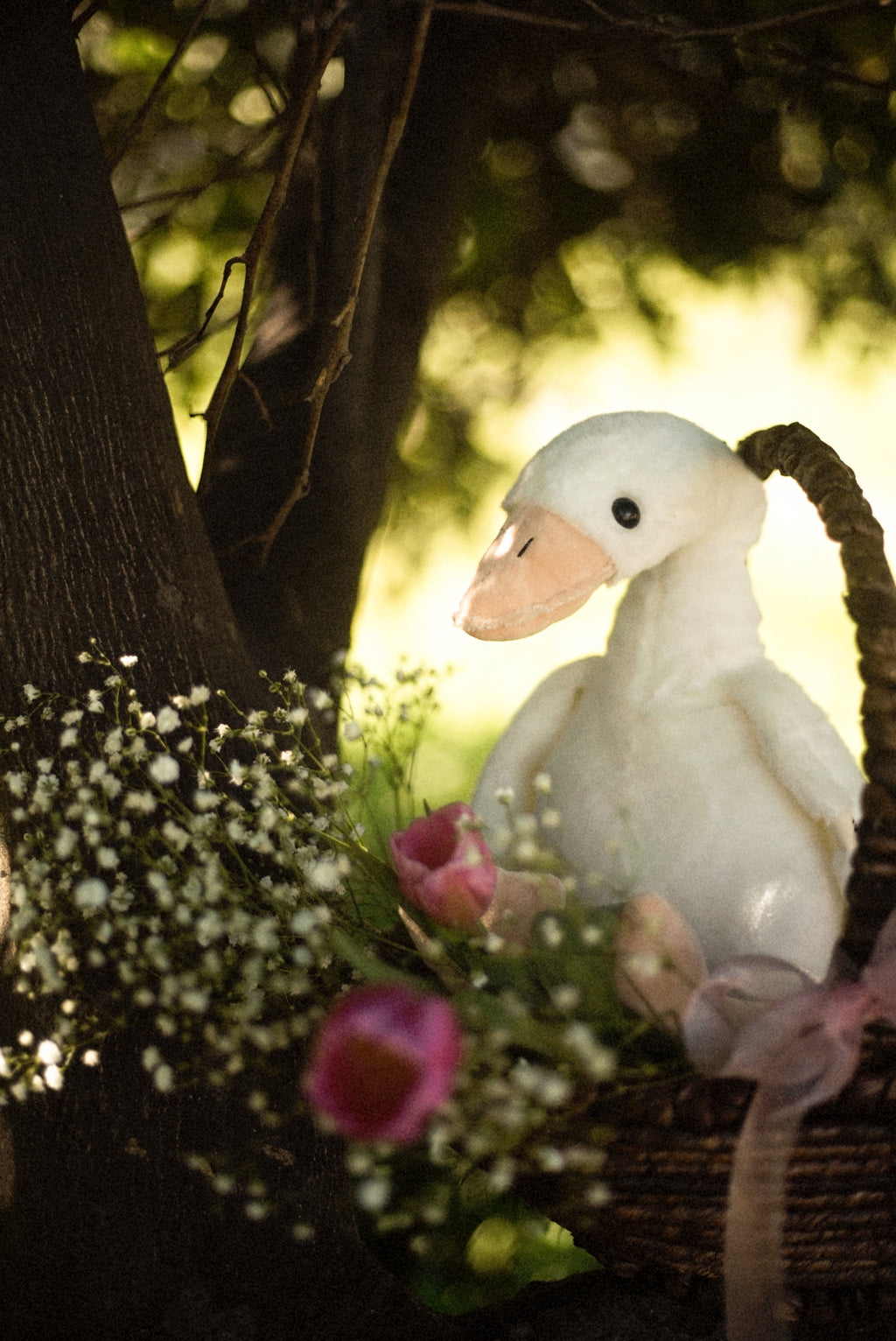 Swan Solo