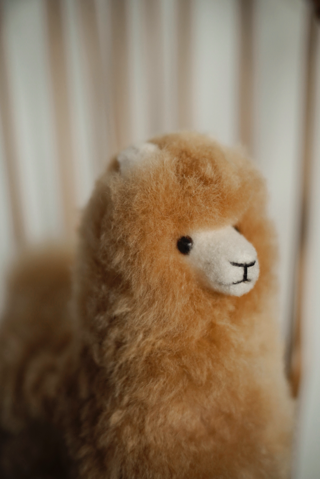 Alpaca Honey