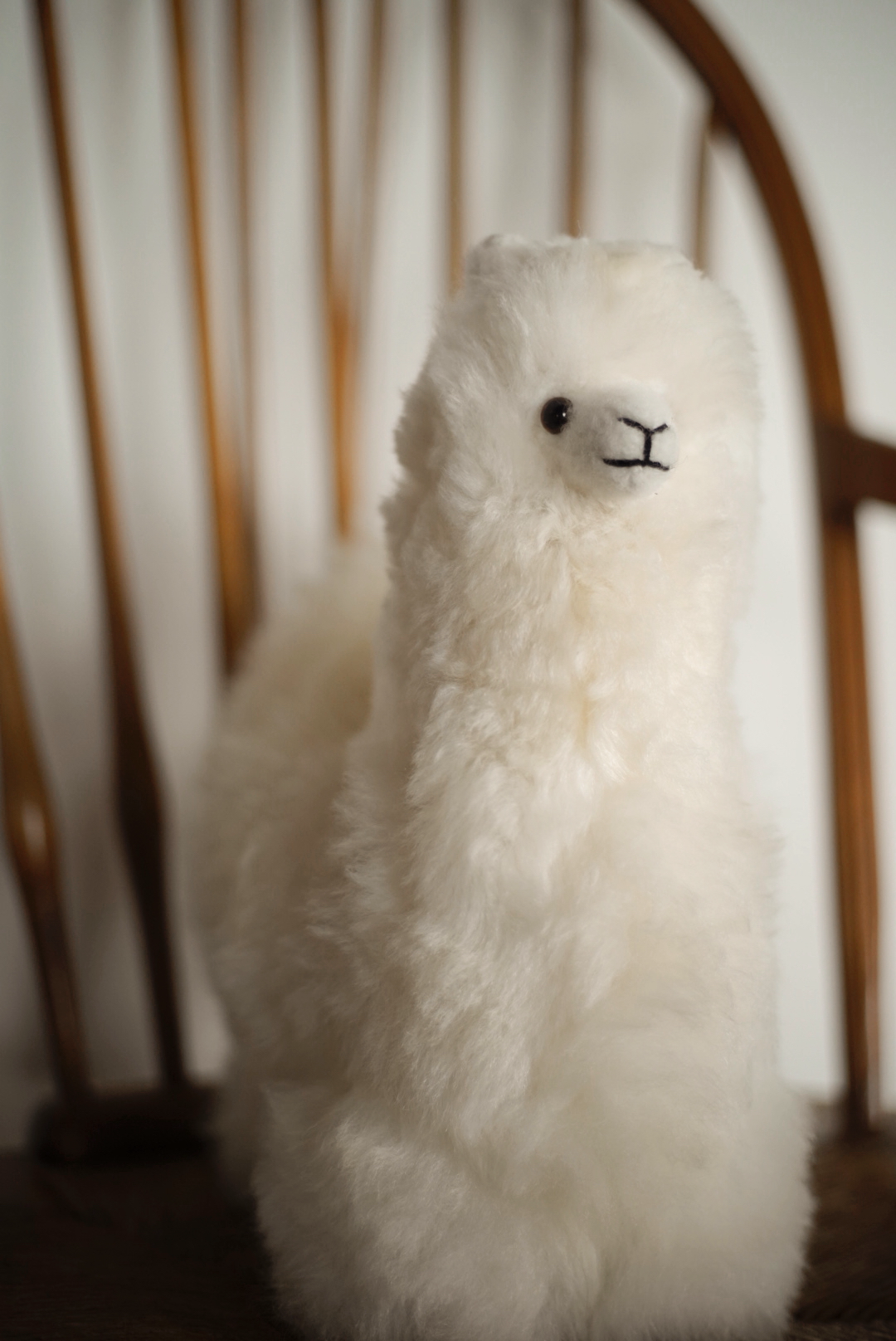 Alpaca Blanco