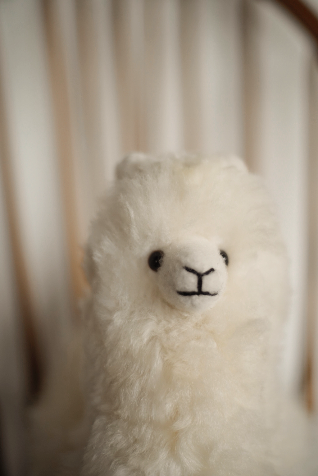 Alpaca Blanco