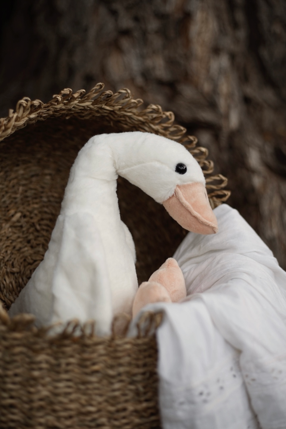 Swan Solo