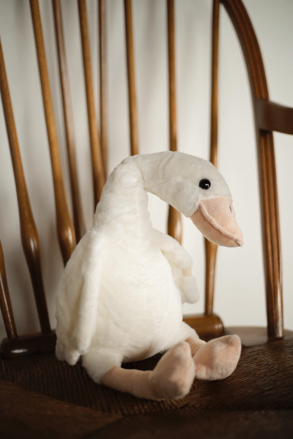 Swan Solo