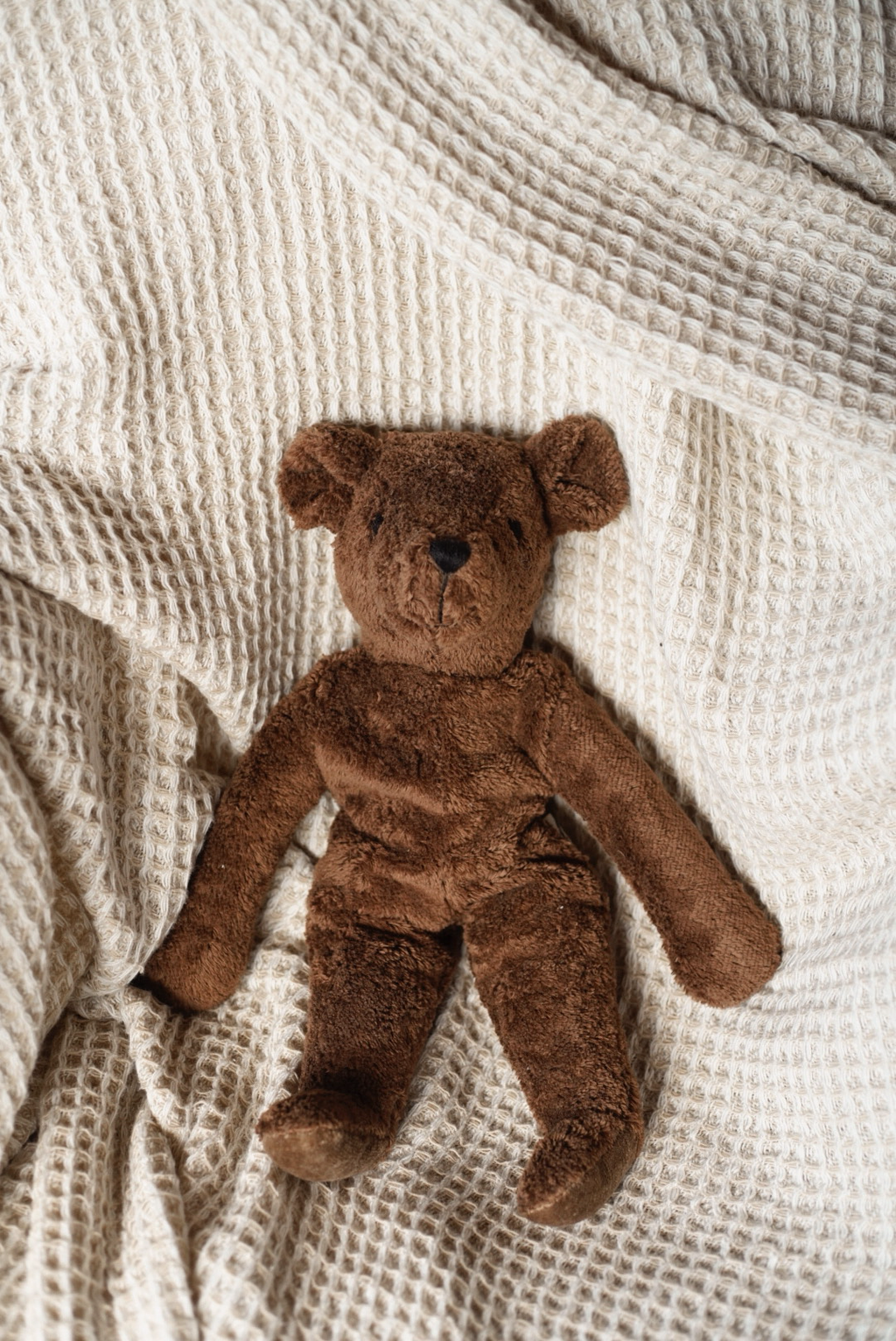 Bear Cub Chocolat